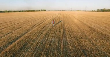 Düşük uçuş bir büyük buğday tarlada yürüyen genç adam turist üzerinde. Eller yukarı, kazanan, mutlu ve özgürlük kavramı.