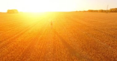 Düşük uçuş bir büyük buğday tarlada yürüyen genç adam turist üzerinde. Eller yukarı, kazanan, mutlu ve özgürlük kavramı.