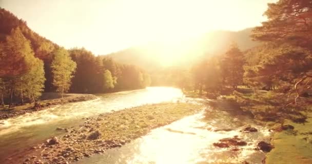 Vue aérienne 4k UHD. Vol bas au-dessus d'une rivière de montagne fraîche et froide au matin ensoleillé d'été . — Video