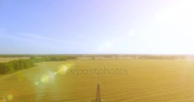 Yüksek voltajlı elektrik kulesi ve yeşil ve sarı alandaki elektrik hatları yakınında dikey hareket.