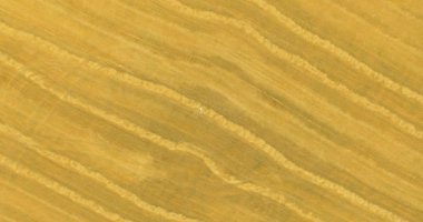 Havadan görünümü. Dikey hareket uçuş sarı buğday alan üzerinde yatan adam üzerinde