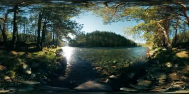 4k 360 Vr sanal gerçeklik bir nehir akar bu güzel orman kayalarda üzerinde