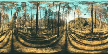 UHD 4k güzel güneşli dağ orman manzara 360 Vr sanal gerçeklik