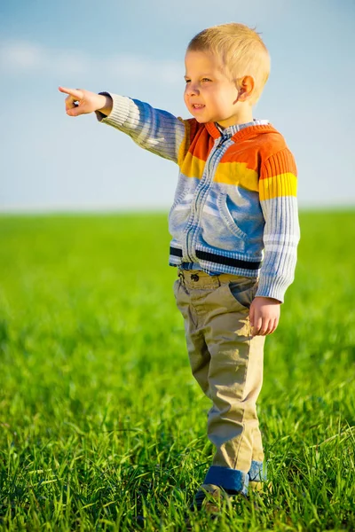 Portrait of happy joyful beautiful little boy outdoor at countryside. Pointing concept. — Stock Photo, Image