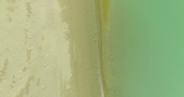 Vue aérienne UHD 4K. Survol d'une rivière de montagne fraîche. Vue verticale et mouvement horizontal 