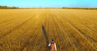 Bir büyük buğday tarlada yürüyen genç adam turist üzerinde düşük uçuş