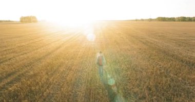 Bir büyük buğday tarlada yürüyen genç adam turist üzerinde düşük uçuş