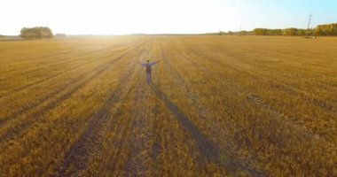Düşük uçuş bir büyük buğday tarlada yürüyen genç adam turist üzerinde. Eller yukarı, kazanan, mutlu ve özgürlük kavramı.