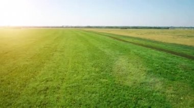 Anteni: Düşük uçuş yeşil ve sarı buğday alanın üzerine