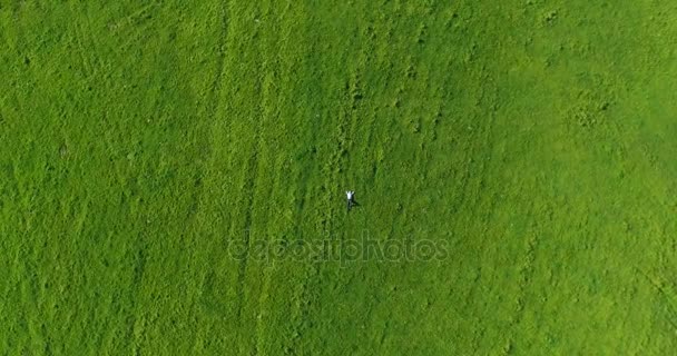 Vol vertical au-dessus d'un homme d'affaires allongé sur un pré vert frais. Vue de dessus sur homme relaxant .