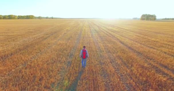 在年轻人旅游步行穿过巨大的麦田低飞行 — 图库视频影像