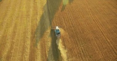 UHD 4k havadan görünümü. Düşük uçuş birleştirmek hasat toplar üzerinde sarı kırsal alan, buğday.