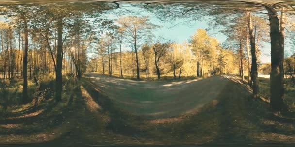 UHD 4K 360 VR Realidade Virtual de uma bela paisagem de floresta de montanha ensolarada — Vídeo de Stock