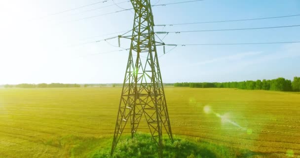 Vuelo de movimiento vertical cerca de la torre de alta tensión y líneas eléctricas en el campo verde y amarillo — Vídeos de Stock