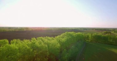 4 k hava manzara. Düşük uçuş yeşil ve sarı buğday kırsal alanın üzerine.