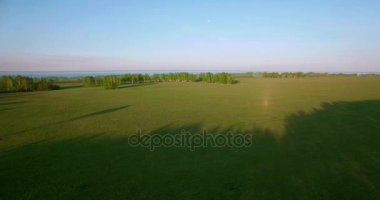 4 k hava manzara. Düşük uçuş yeşil ve sarı buğday kırsal alanın üzerine.