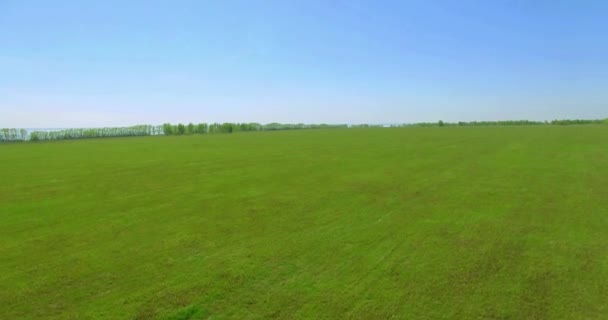 4k вигляд з повітря. Низький політ над зеленим і жовтим пшеничним сільським полем . — стокове відео