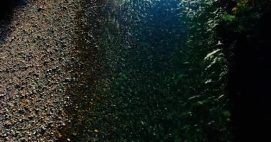 Havadan Uhd 4k görünümü. Taze dağ nehir üzerinde uçuş. Dikey yatay tilt hareketi olarak.