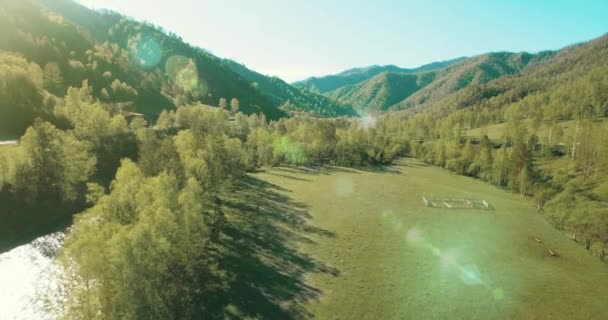 Voo no meio do ar sobre o rio e o prado da montanha fresca na ensolarada manhã de verão. Estrada de terra rural abaixo . — Vídeo de Stock