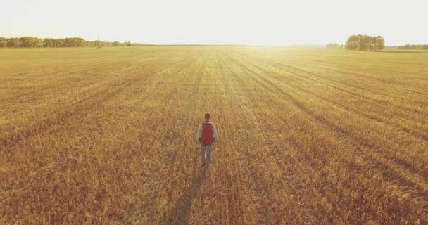 Χαμηλή πτήση πάνω από το νεαρό άνδρα τουριστικές περπατώντας σε ένα χώρο τεράστιο σιτάρι — Αρχείο Βίντεο