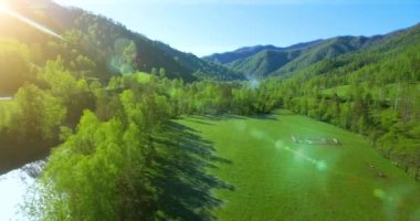Taze dağ nehir ve güneşli yaz sabahı, çayır üzerinde havada uçuş. Kırsal toprak yol aşağıdaki.