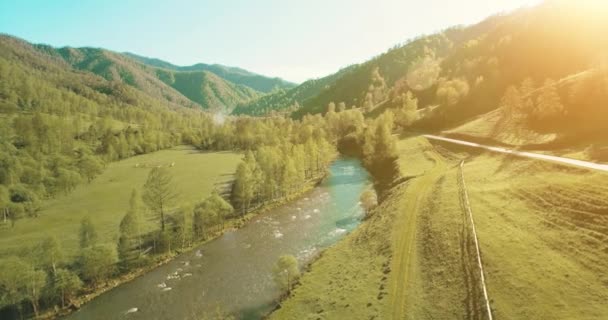 Voo no meio do ar sobre o rio e o prado da montanha fresca na ensolarada manhã de verão. Estrada de terra rural abaixo . — Vídeo de Stock