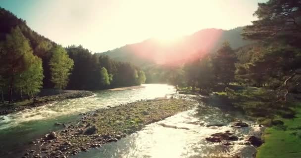 Vue aérienne 4k UHD. Vol bas au-dessus d'une rivière de montagne fraîche et froide au matin ensoleillé d'été . — Video