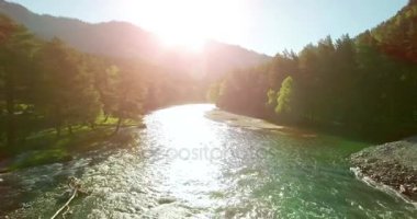 4 k Uhd havadan görünümü. Düşük uçuş üzerinde taze soğuk dağ nehir kıyısında güneşli yaz sabahı.