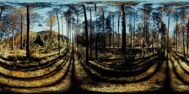 UHD 4k 360 Vr virtuální realita krásné slunné horské krajiny, lesní — Stock video