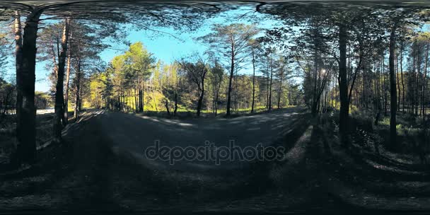 UHD 4K 360 VR Réalité virtuelle d'un beau paysage de forêt de montagne ensoleillé 