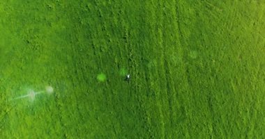 Taze yeşil çayır üzerinde yalan işadamı üzerinde dikey hareket uçuş. Üstten Görünüm üzerinde rahatlatıcı dostum.