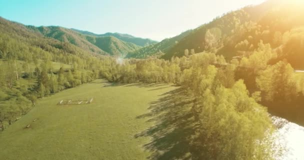 Voo no meio do ar sobre o rio e o prado da montanha fresca na ensolarada manhã de verão. Estrada de terra rural abaixo . — Vídeo de Stock