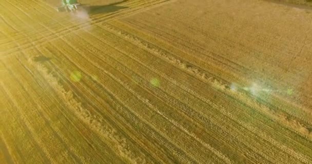到 4k 的鸟瞰图。低飞行在联合收割机聚集在黄色的农村领域小麦. — 图库视频影像