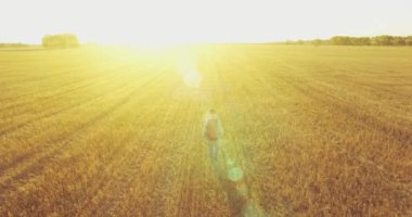 Bir büyük buğday tarlada yürüyen genç adam turist üzerinde düşük uçuş