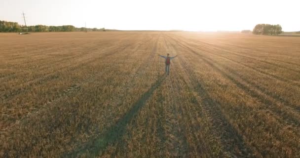 Un volo basso su un giovane turista che cammina attraverso un enorme campo di grano. Mani in alto, vincitore, felice e concetto di libertà . — Video Stock