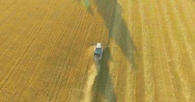 UHD 4k havadan görünümü. Düşük uçuş birleştirmek hasat toplar üzerinde sarı kırsal alan, buğday.