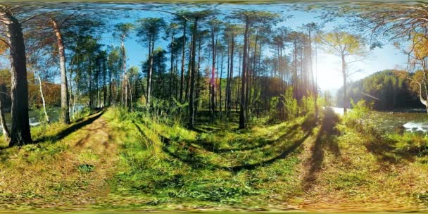 UHD 4K 360 VR Realidade Virtual de uma bela paisagem de floresta de montanha ensolarada — Vídeo de Stock