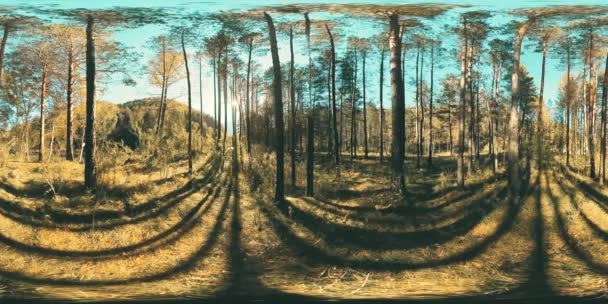 UHD 4K 360 VR Virtual Reality of a beautiful sunny mountain forest landscape — Stock Video