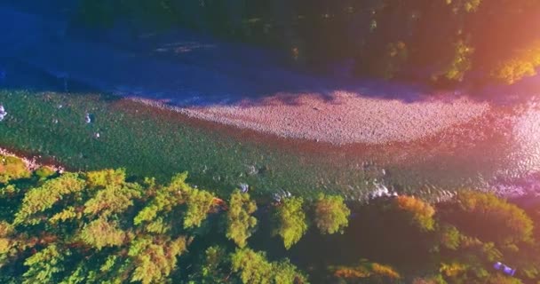 Середній повітряний політ над свіжою і чистою гірською річкою в сонячний літній ранок. Вертикальний рух — стокове відео