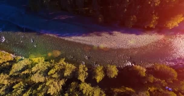 Vol en vol au-dessus d'une rivière de montagne fraîche et propre au matin ensoleillé d'été. Mouvement vertical — Video