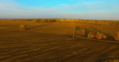 UHD 4k havadan görünümü. Havada uçak sarı kırsal alanın üzerinde