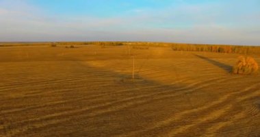 UHD 4k havadan görünümü. Havada uçak sarı kırsal alanın üzerinde