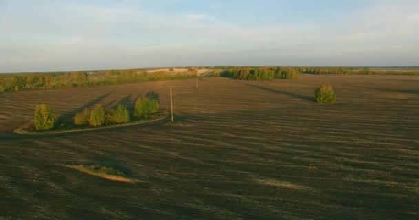 UHD 4K vista aérea. Vuelo en el aire sobre el campo rural amarillo — Vídeos de Stock