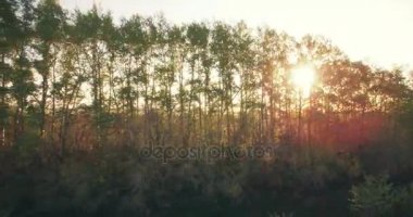 4 k hava manzara. Düşük uçuş yeşil ve sarı buğday kırsal alanın üzerine.