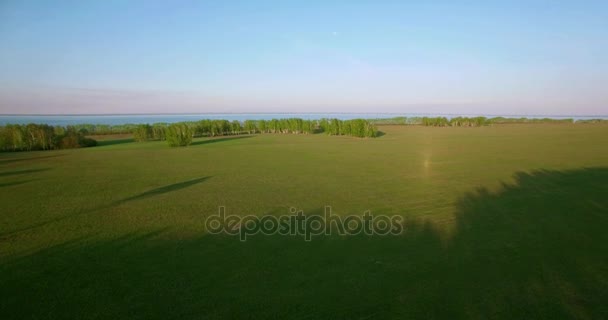 4 k 的鸟瞰图。在绿色和黄色麦田农村低飞行. — 图库视频影像