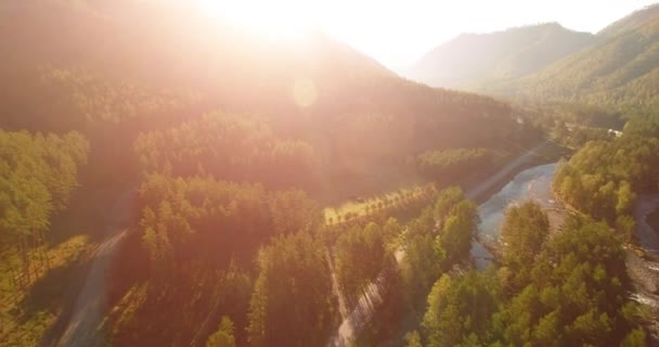 Середній повітряний політ над свіжою гірською річкою і лугом в сонячний літній ранок. Сільська ґрунтова дорога нижче . — стокове відео