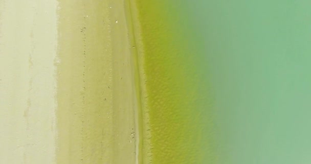 Vue aérienne UHD 4K. Survol d'une rivière de montagne fraîche. Vue verticale et mouvement horizontal 