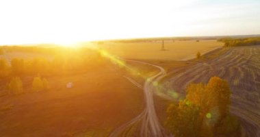 UHD 4K hava görüntüsü. Sarı kırsal alan ve toprak yol üzerinde orta-uçuş