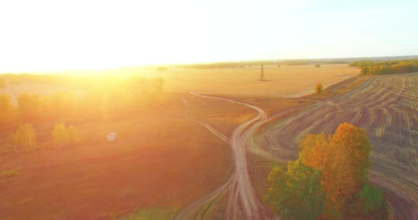 UHD 4K vista aérea. Vuelo en medio del aire sobre campo rural amarillo y camino de tierra — Vídeos de Stock