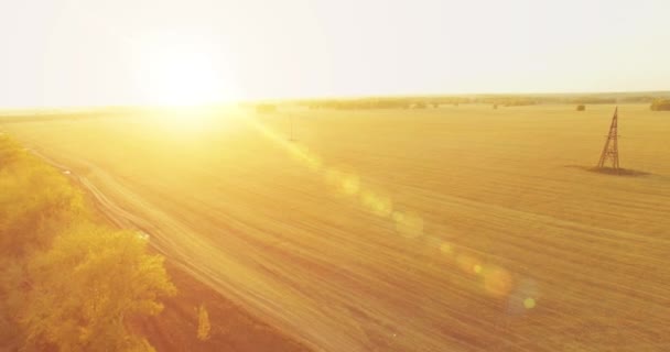 UHD 4K vedere aeriană. Zbor în aer peste câmp rural galben și drum de murdărie — Videoclip de stoc